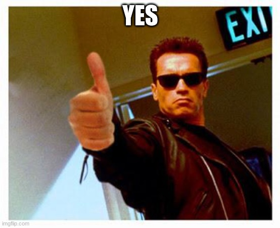 terminator thumbs up | YES | image tagged in terminator thumbs up | made w/ Imgflip meme maker