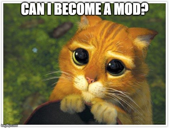 Please make me a mod! | CAN I BECOME A MOD? | image tagged in memes,shrek cat | made w/ Imgflip meme maker