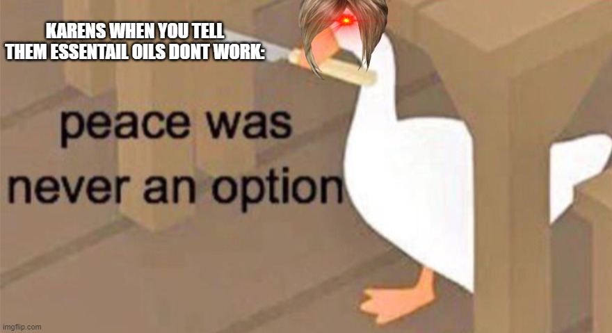 peace wasnt an option to karen | KARENS WHEN YOU TELL THEM ESSENTAIL OILS DONT WORK: | image tagged in untitled goose peace was never an option | made w/ Imgflip meme maker