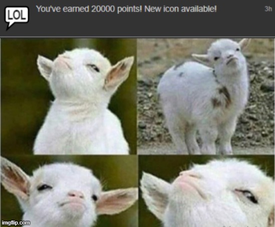 20000! | image tagged in victory goat,20000 points,imgflip points | made w/ Imgflip meme maker