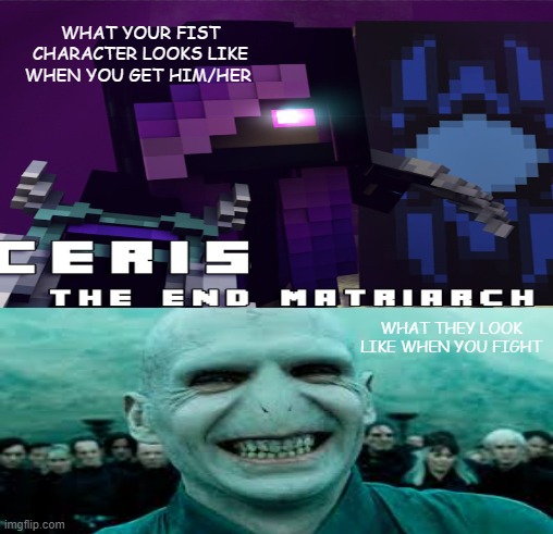 My gaming gurl life | WHAT YOUR FIST CHARACTER LOOKS LIKE WHEN YOU GET HIM/HER; WHAT THEY LOOK LIKE WHEN YOU FIGHT | image tagged in harry potter meme,minecraft | made w/ Imgflip meme maker