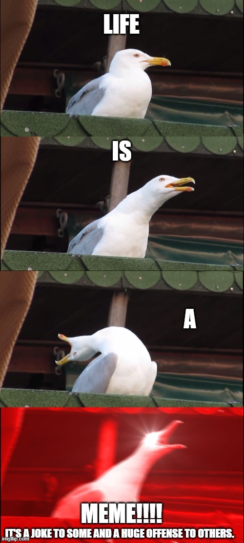 Life is a meme | LIFE; IS; A; MEME!!!! IT'S A JOKE TO SOME AND A HUGE OFFENSE TO OTHERS. | image tagged in memes,inhaling seagull | made w/ Imgflip meme maker