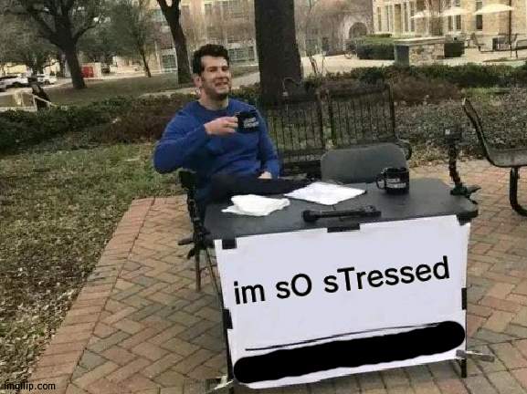 I CANT DO ANYTHING RIGGJHHHTT | im sO sTressed | image tagged in memes | made w/ Imgflip meme maker