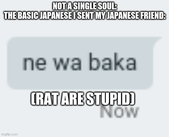 NOT A SINGLE SOUL:
THE BASIC JAPANESE I SENT MY JAPANESE FRIEND:; (RAT ARE STUPID) | made w/ Imgflip meme maker