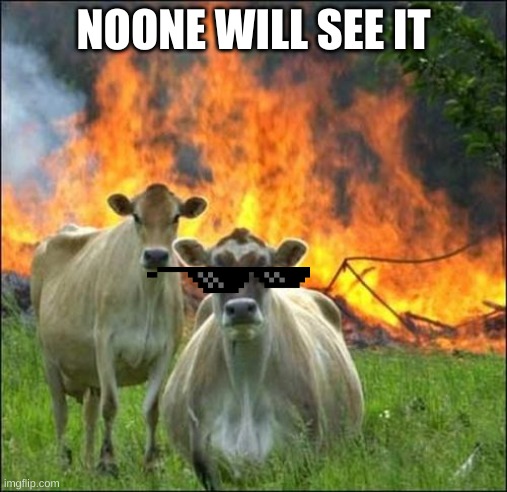 Evil Cows Meme | NOONE WILL SEE IT | image tagged in memes,evil cows | made w/ Imgflip meme maker