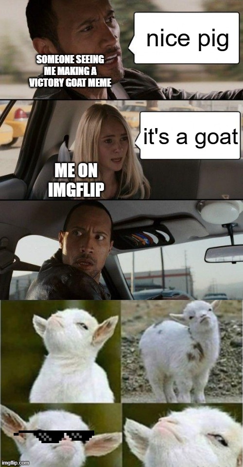 it's a goat tho | nice pig; SOMEONE SEEING ME MAKING A VICTORY GOAT MEME; it's a goat; ME ON IMGFLIP | image tagged in memes,the rock driving,victory goat,goat,epic fail,dank memes | made w/ Imgflip meme maker