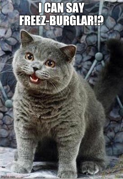 I can has cheezburger cat | I CAN SAY FREEZ-BURGLAR!? | image tagged in i can has cheezburger cat | made w/ Imgflip meme maker