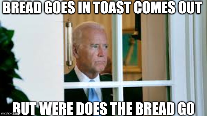 biden | BREAD GOES IN TOAST COMES OUT; BUT WERE DOES THE BREAD GO | image tagged in biden,funny,polotics | made w/ Imgflip meme maker