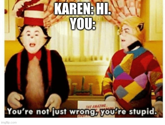 You're not just wrong your stupid | KAREN: HI.
YOU: | image tagged in you're not just wrong your stupid | made w/ Imgflip meme maker