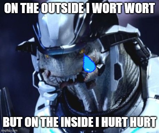 Sad Wort | ON THE OUTSIDE I WORT WORT; BUT ON THE INSIDE I HURT HURT | image tagged in on the outside i hurt,halo,epic gamer moment | made w/ Imgflip meme maker