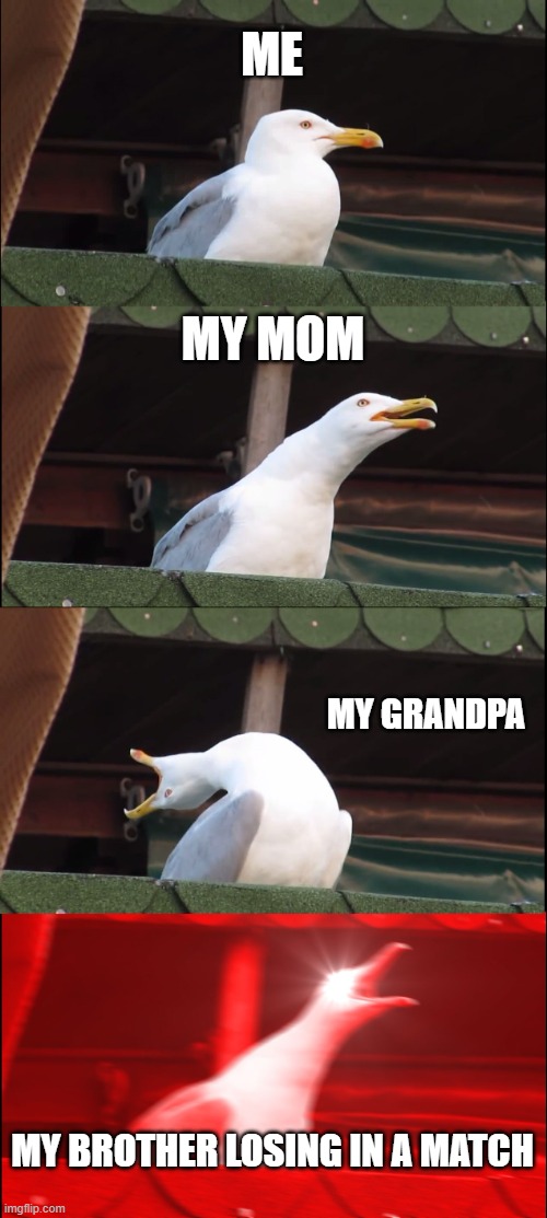 my family | ME; MY MOM; MY GRANDPA; MY BROTHER LOSING IN A MATCH | image tagged in memes,inhaling seagull | made w/ Imgflip meme maker