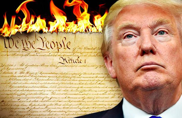 High Quality Trump burns the Constitution when it gets in the way Blank Meme Template