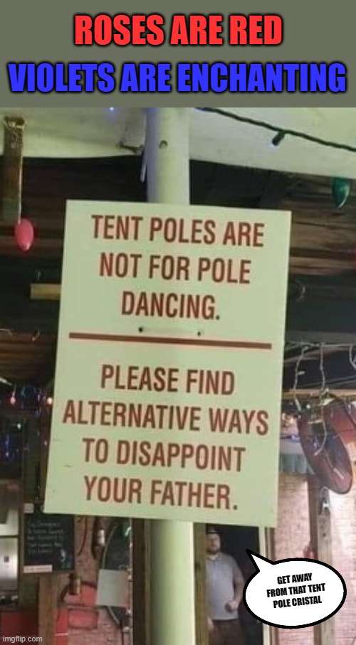 Some Folks Just Can't Help Themselves | ROSES ARE RED; VIOLETS ARE ENCHANTING; GET AWAY FROM THAT TENT POLE CRISTAL | image tagged in memes,roses are red,funny signs,stripper pole | made w/ Imgflip meme maker