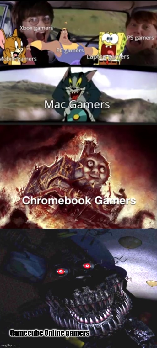Types of Gamers in a Nutshell | Gamecube Online gamers | image tagged in blank white template,gamers,gamer | made w/ Imgflip meme maker