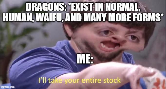 I'll take your entire stock | DRAGONS: *EXIST IN NORMAL, HUMAN, WAIFU, AND MANY MORE FORMS*; ME: | image tagged in i'll take your entire stock | made w/ Imgflip meme maker