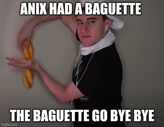 Anix = Baguette | ANIX HAD A BAGUETTE; THE BAGUETTE GO BYE BYE | image tagged in memes | made w/ Imgflip meme maker