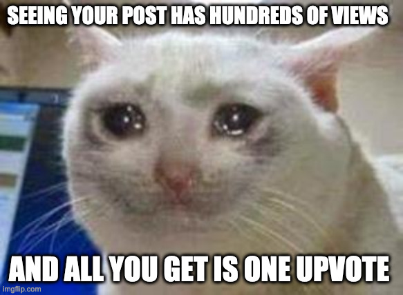 Sad cat | SEEING YOUR POST HAS HUNDREDS OF VIEWS; AND ALL YOU GET IS ONE UPVOTE | image tagged in sad cat | made w/ Imgflip meme maker