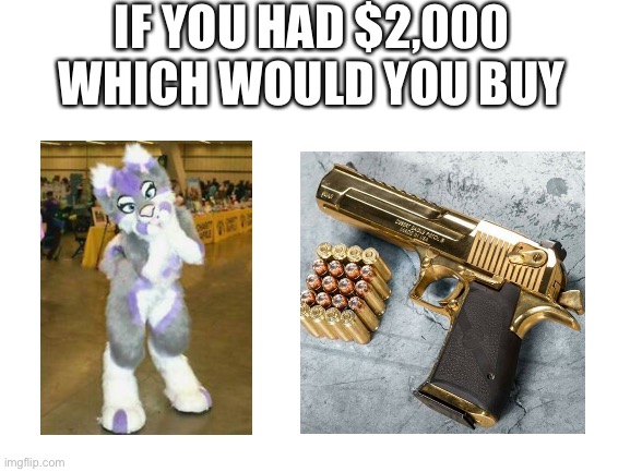 Which would you buy | IF YOU HAD $2,000 WHICH WOULD YOU BUY | image tagged in blank white template,furry,guns,pistol | made w/ Imgflip meme maker