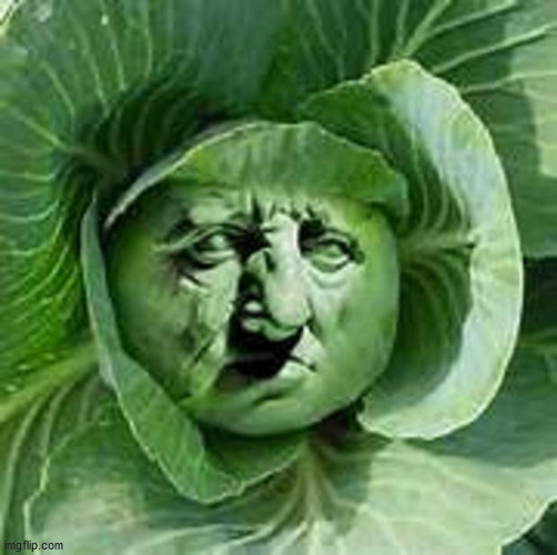 cabbage face | image tagged in cabbage face | made w/ Imgflip meme maker
