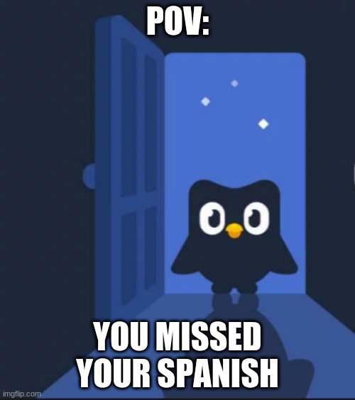 Now you're done | POV:; YOU MISSED YOUR SPANISH | image tagged in duolingo bird | made w/ Imgflip meme maker