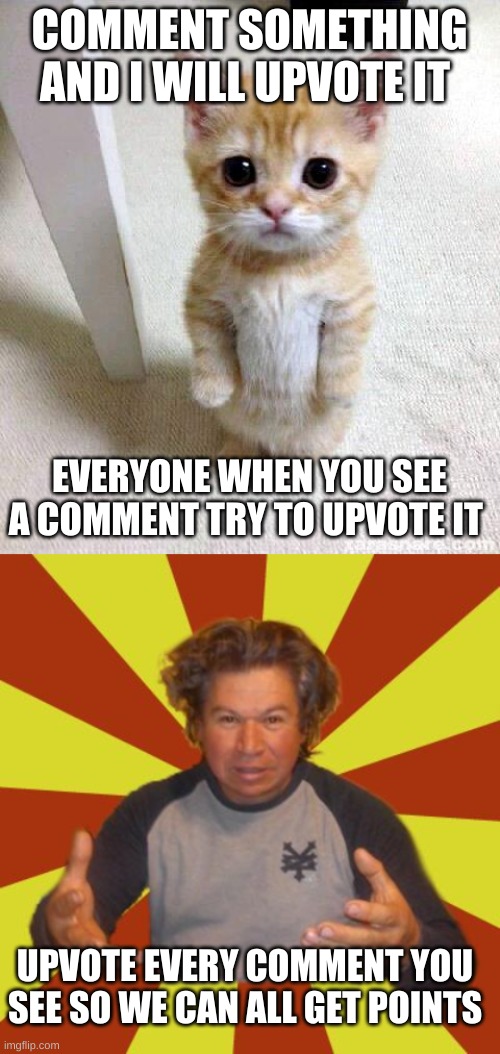 COMMENT SOMETHING AND I WILL UPVOTE IT; EVERYONE WHEN YOU SEE A COMMENT TRY TO UPVOTE IT; UPVOTE EVERY COMMENT YOU SEE SO WE CAN ALL GET POINTS | image tagged in memes,cute cat,crazy hispanic man | made w/ Imgflip meme maker