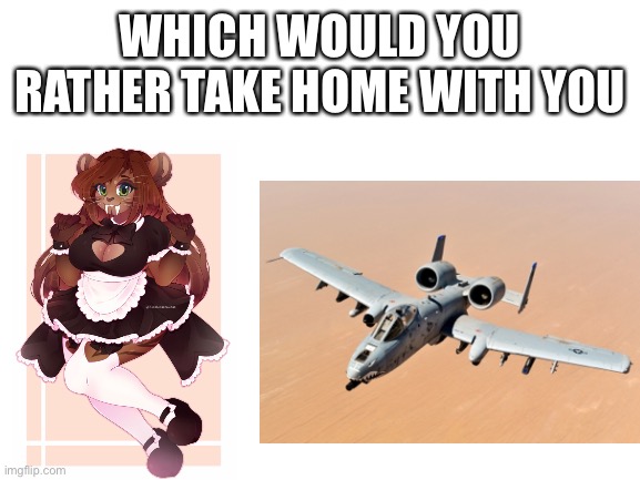 Which one would you take | WHICH WOULD YOU RATHER TAKE HOME WITH YOU | image tagged in furry,female,plane,a-10 | made w/ Imgflip meme maker