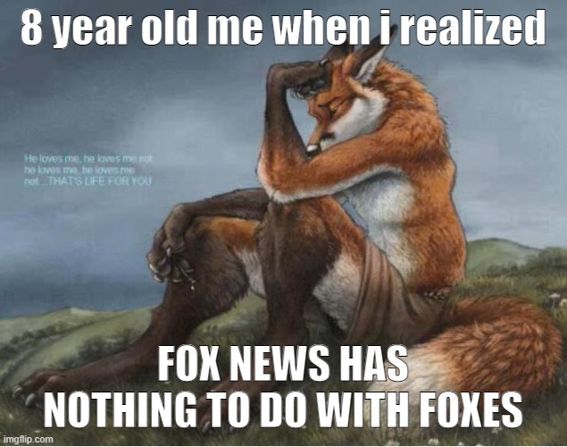 sad | 8 year old me when i realized; FOX NEWS HAS NOTHING TO DO WITH FOXES | image tagged in furry,fox news,fox,political meme,political,furry memes | made w/ Imgflip meme maker