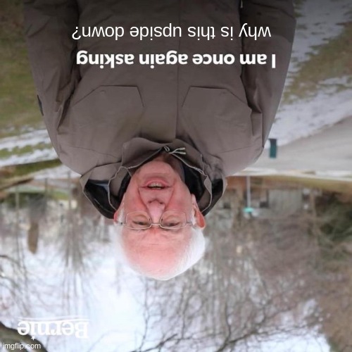 ......huh? | why is this upside down? | image tagged in memes,bernie i am once again asking for your support | made w/ Imgflip meme maker