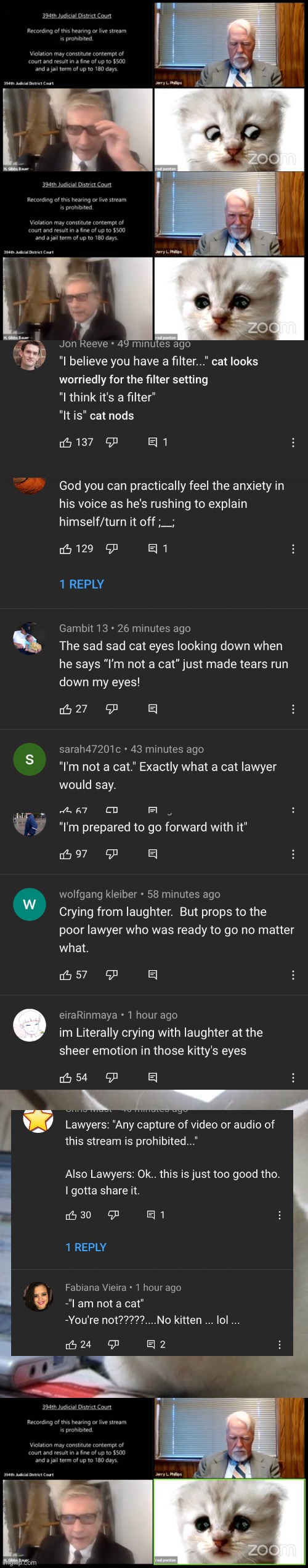 Cat lawyer hired "I'm prepared to go through with it" (link in comment) | image tagged in crying cat,cats,zoom,task failed successfully,sad cat,court | made w/ Imgflip meme maker