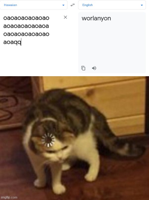 ??? | image tagged in loading cat | made w/ Imgflip meme maker