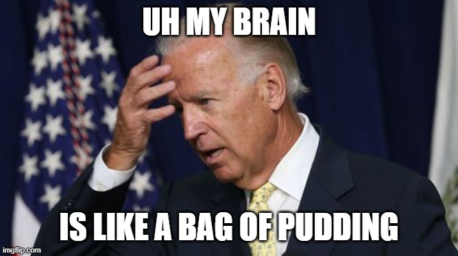 Joe Biden worries | UH MY BRAIN IS LIKE A BAG OF PUDDING | image tagged in joe biden worries | made w/ Imgflip meme maker