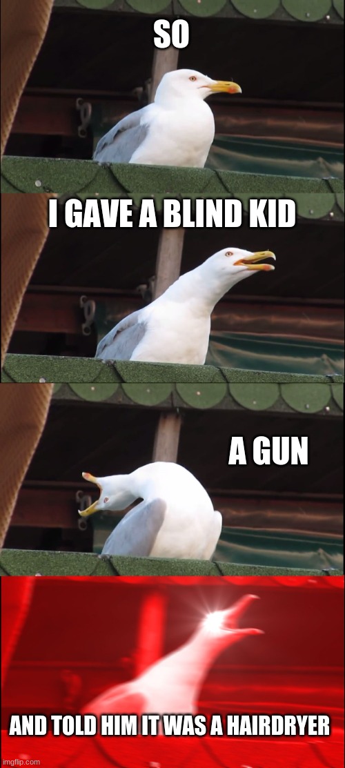 Inhaling Seagull | SO; I GAVE A BLIND KID; A GUN; AND TOLD HIM IT WAS A HAIRDRYER | image tagged in memes,inhaling seagull | made w/ Imgflip meme maker