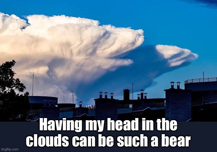 Having my head in the
clouds can be such a bear | made w/ Imgflip meme maker