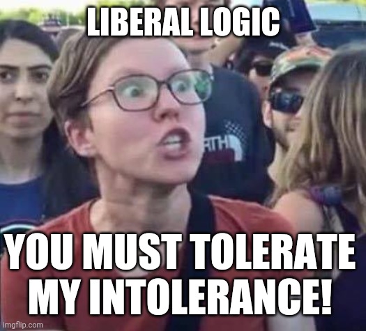 Angry Liberal | LIBERAL LOGIC; YOU MUST TOLERATE MY INTOLERANCE! | image tagged in angry liberal | made w/ Imgflip meme maker