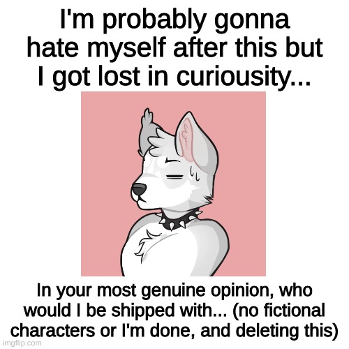 I'll regret this later, but I still hate my curiousity. | I'm probably gonna hate myself after this but I got lost in curiousity... In your most genuine opinion, who would I be shipped with... (no fictional characters or I'm done, and deleting this) | image tagged in furry,stop reading the tags | made w/ Imgflip meme maker