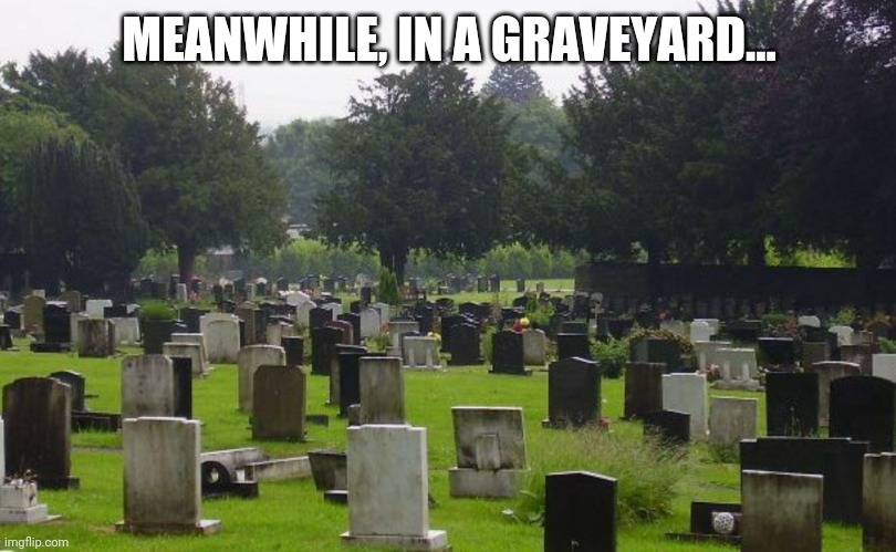 Graveyard | MEANWHILE, IN A GRAVEYARD... | image tagged in graveyard | made w/ Imgflip meme maker