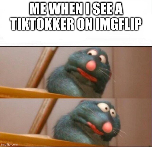 Remy sick | ME WHEN I SEE A TIKTOKKER ON IMGFLIP | image tagged in remy sick | made w/ Imgflip meme maker