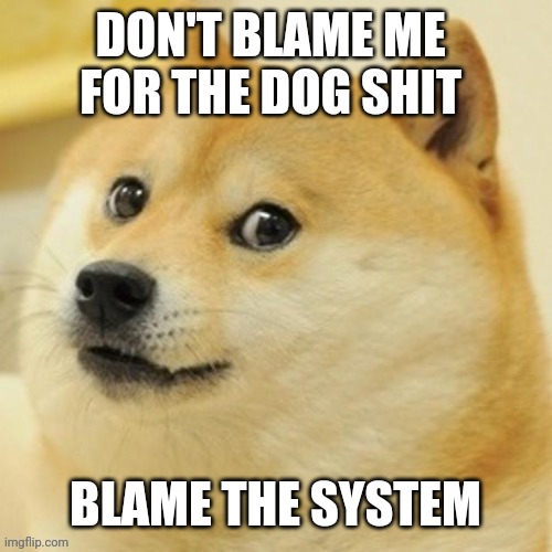 Dog's wisdom |  DON'T BLAME ME 
FOR THE DOG SHIT; BLAME THE SYSTEM | image tagged in dog,civilization | made w/ Imgflip meme maker
