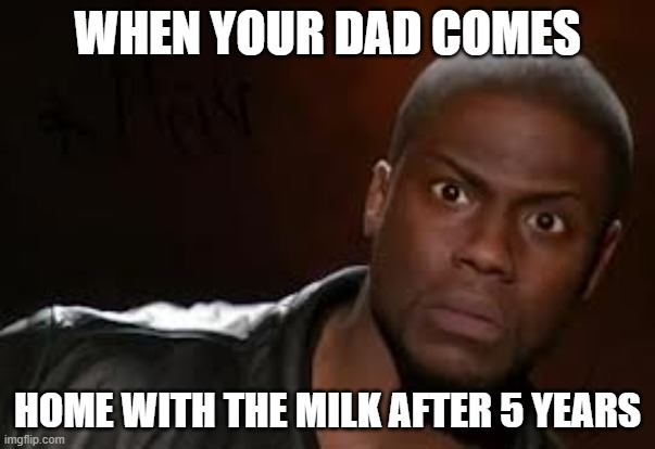 funny meme | WHEN YOUR DAD COMES; HOME WITH THE MILK AFTER 5 YEARS | image tagged in funny meme | made w/ Imgflip meme maker