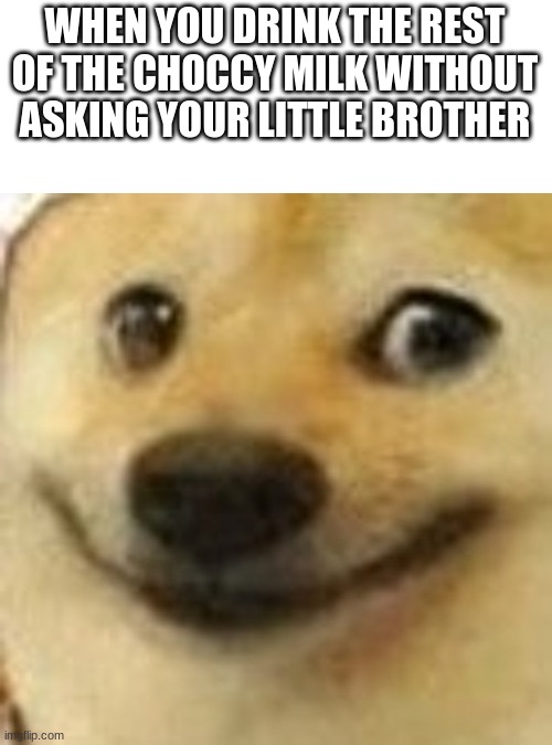 sneaky doge | WHEN YOU DRINK THE REST OF THE CHOCCY MILK WITHOUT ASKING YOUR LITTLE BROTHER | image tagged in choccy milk,hehe boi | made w/ Imgflip meme maker