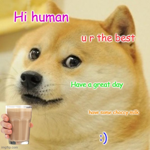 Have a great day | Hi human; u r the best; Have a great day; have some choccy milk; :) | image tagged in memes,doge,nice,choccy milk | made w/ Imgflip meme maker