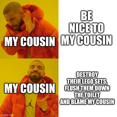 why cousin | BE NICE TO MY COUSIN; MY COUSIN; DESTROY THEIR LEGO SETS, FLUSH THEM DOWN THE TOILET AND BLAME MY COUSIN; MY COUSIN | image tagged in memes,drake hotline bling | made w/ Imgflip meme maker