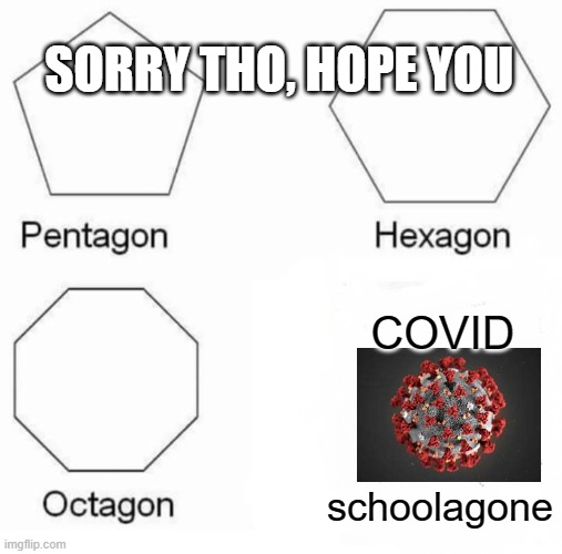 Pentagon Hexagon Octagon Meme | schoolagone COVID SORRY THO, HOPE YOU | image tagged in memes,pentagon hexagon octagon | made w/ Imgflip meme maker