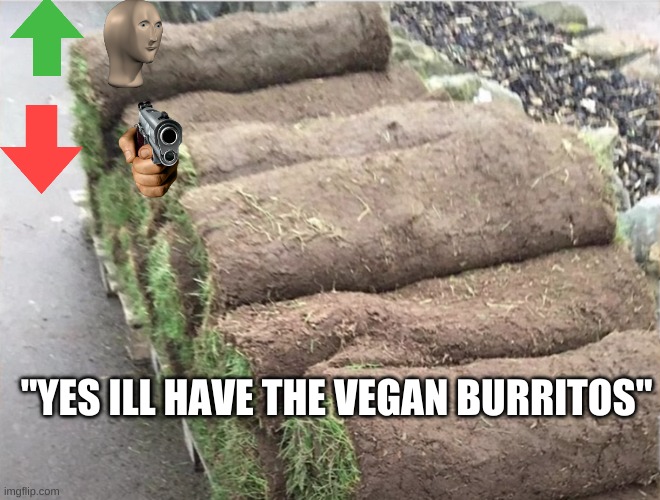 lets go for 250 views for free bobux | "YES ILL HAVE THE VEGAN BURRITOS" | image tagged in meme | made w/ Imgflip meme maker