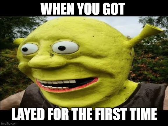 Surprised Shrek | WHEN YOU GOT; LAYED FOR THE FIRST TIME | image tagged in surprised shrek | made w/ Imgflip meme maker