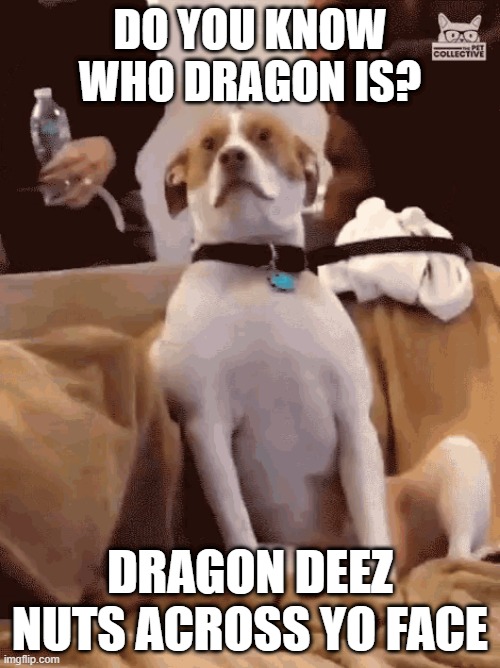 DO YOU KNOW WHO DRAGON IS? DRAGON DEEZ NUTS ACROSS YO FACE | made w/ Imgflip meme maker