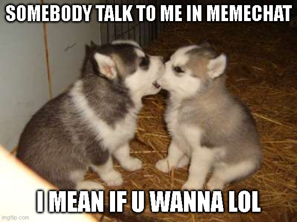 :P | SOMEBODY TALK TO ME IN MEMECHAT; I MEAN IF U WANNA LOL | image tagged in memes,cute puppies | made w/ Imgflip meme maker