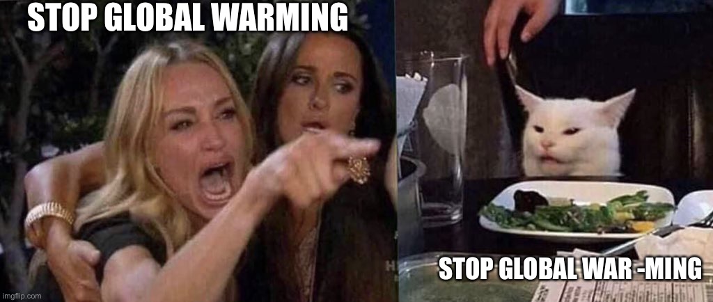 woman yelling at cat | STOP GLOBAL WARMING STOP GLOBAL WAR -MING | image tagged in woman yelling at cat | made w/ Imgflip meme maker