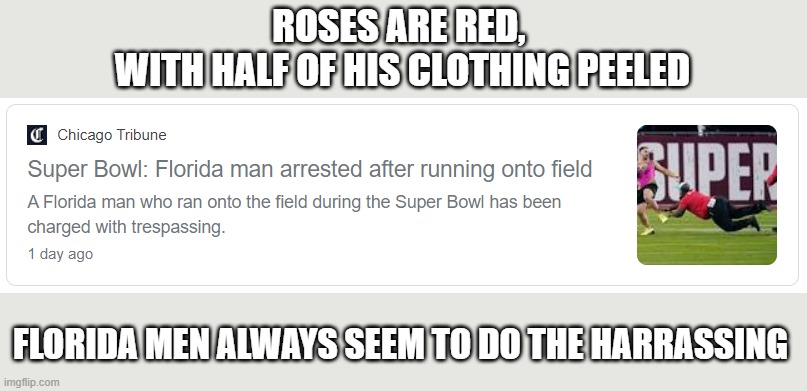 ROSES ARE RED, 
WITH HALF OF HIS CLOTHING PEELED; FLORIDA MEN ALWAYS SEEM TO DO THE HARRASSING | image tagged in florida man,superbowl | made w/ Imgflip meme maker