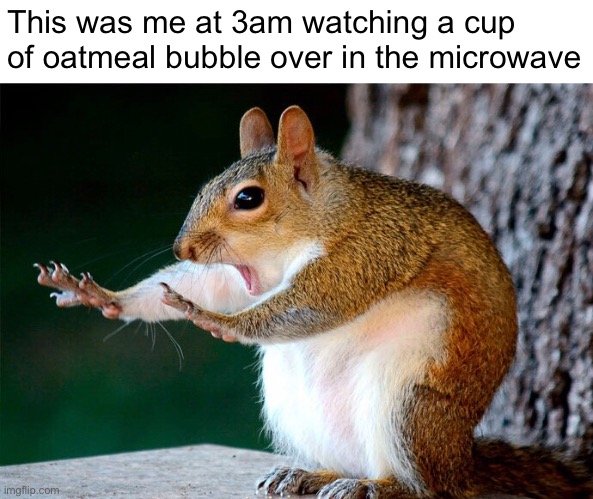 Why-y-y Didn’t I Set the Cup on a Plate First? | This was me at 3am watching a cup of oatmeal bubble over in the microwave | image tagged in funny memes,derp,microwave | made w/ Imgflip meme maker